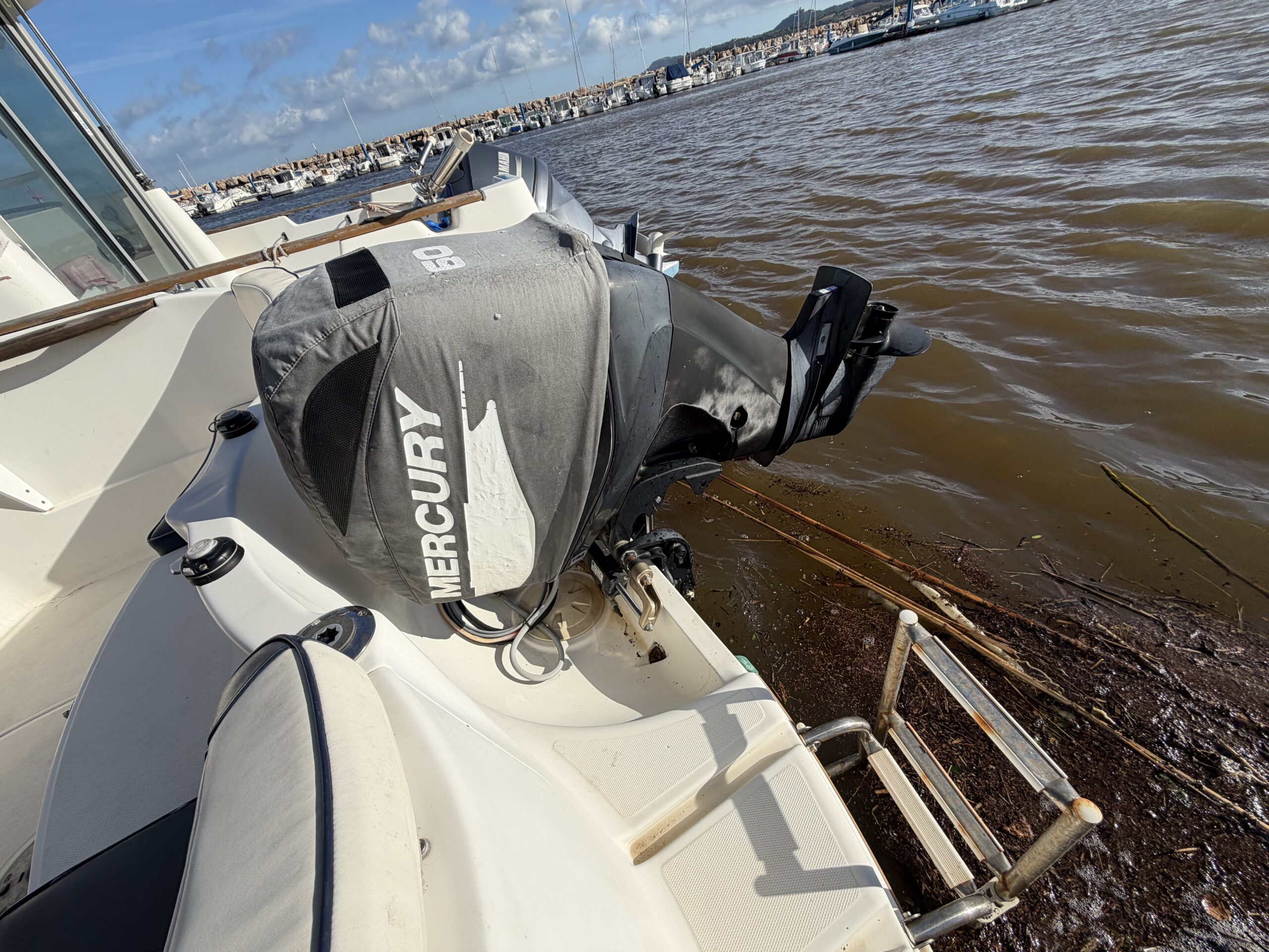 QUICKSILVER QS540 PILOTHOUSE 50cv Mercury 4T